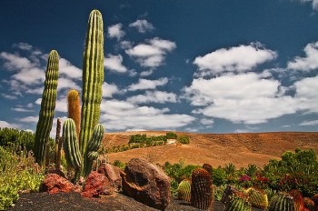 Oasis Fuerteventura Park
