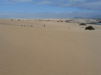 Natural Park Dunes Corralejo